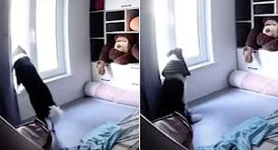 In Video: Loyal pet dog waits for his owner by the window for 10 hours after being left at home alone